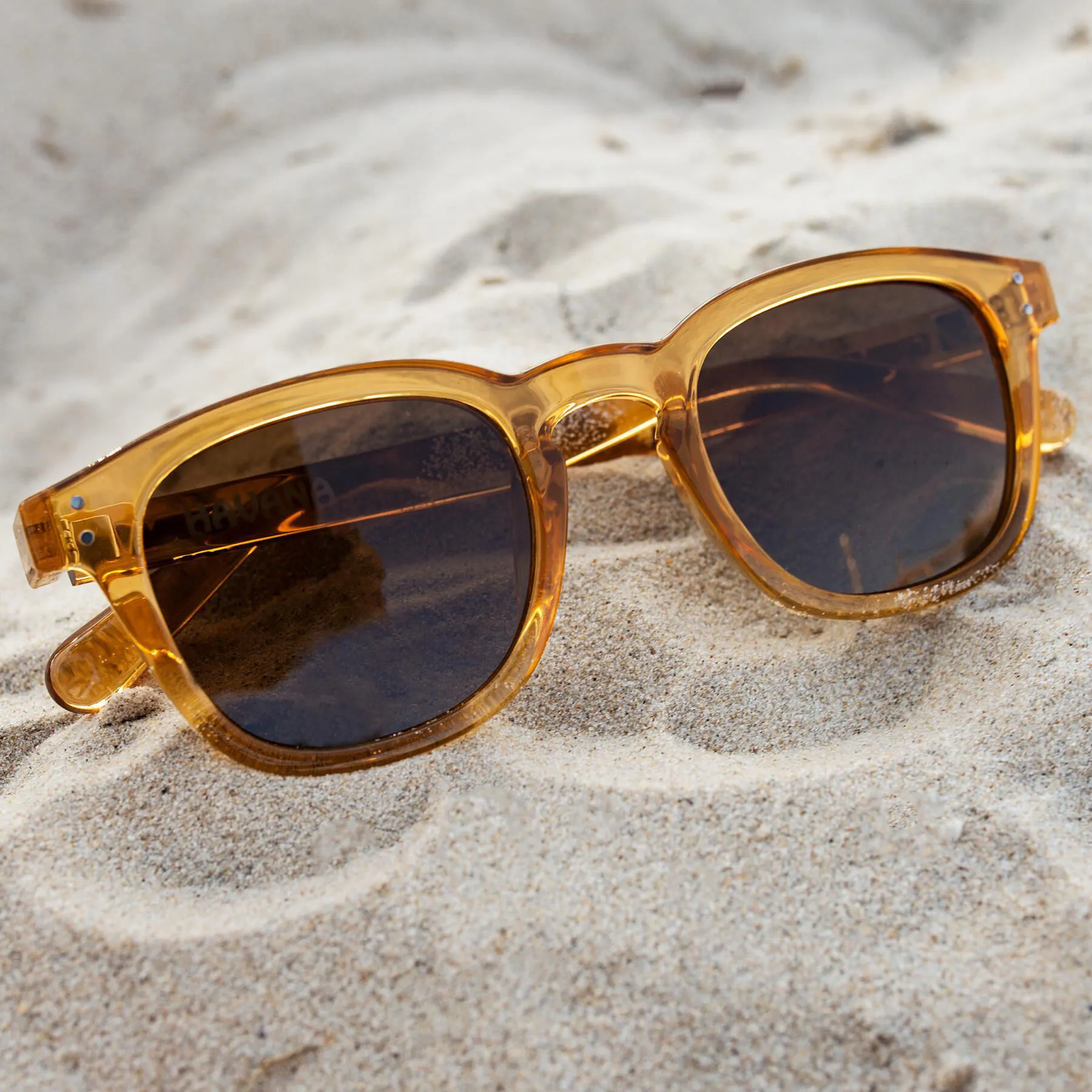 Carve Havana Sunglasses