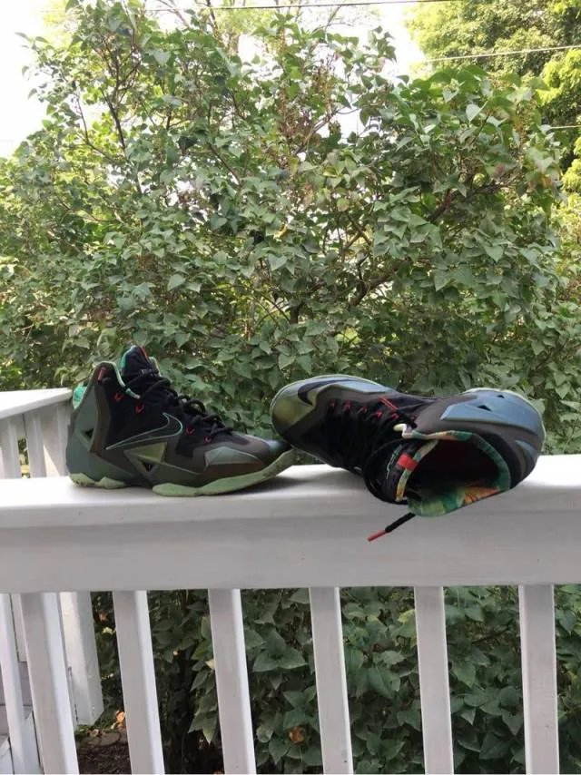 Nike LeBron 11 - King's Pride