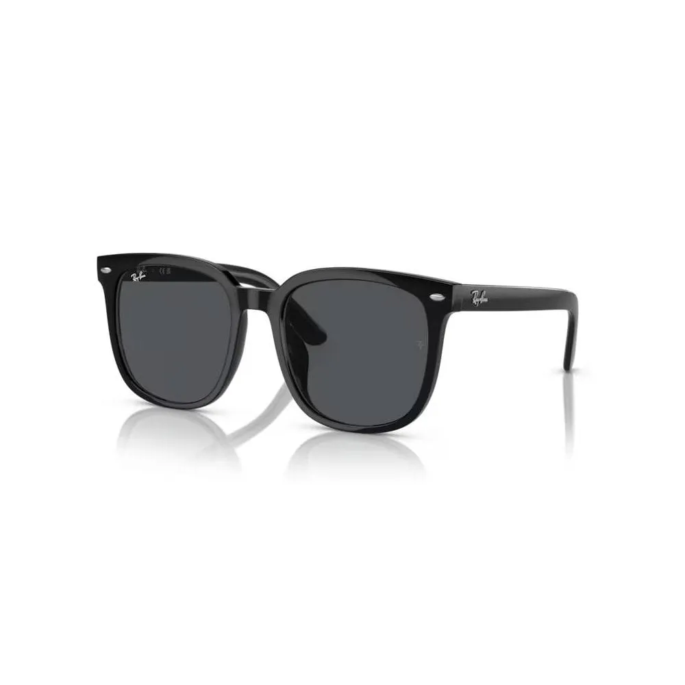 RB4401D Sunglasses