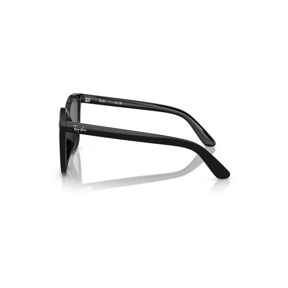 RB4401D Sunglasses