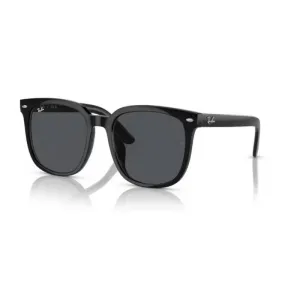 RB4401D Sunglasses