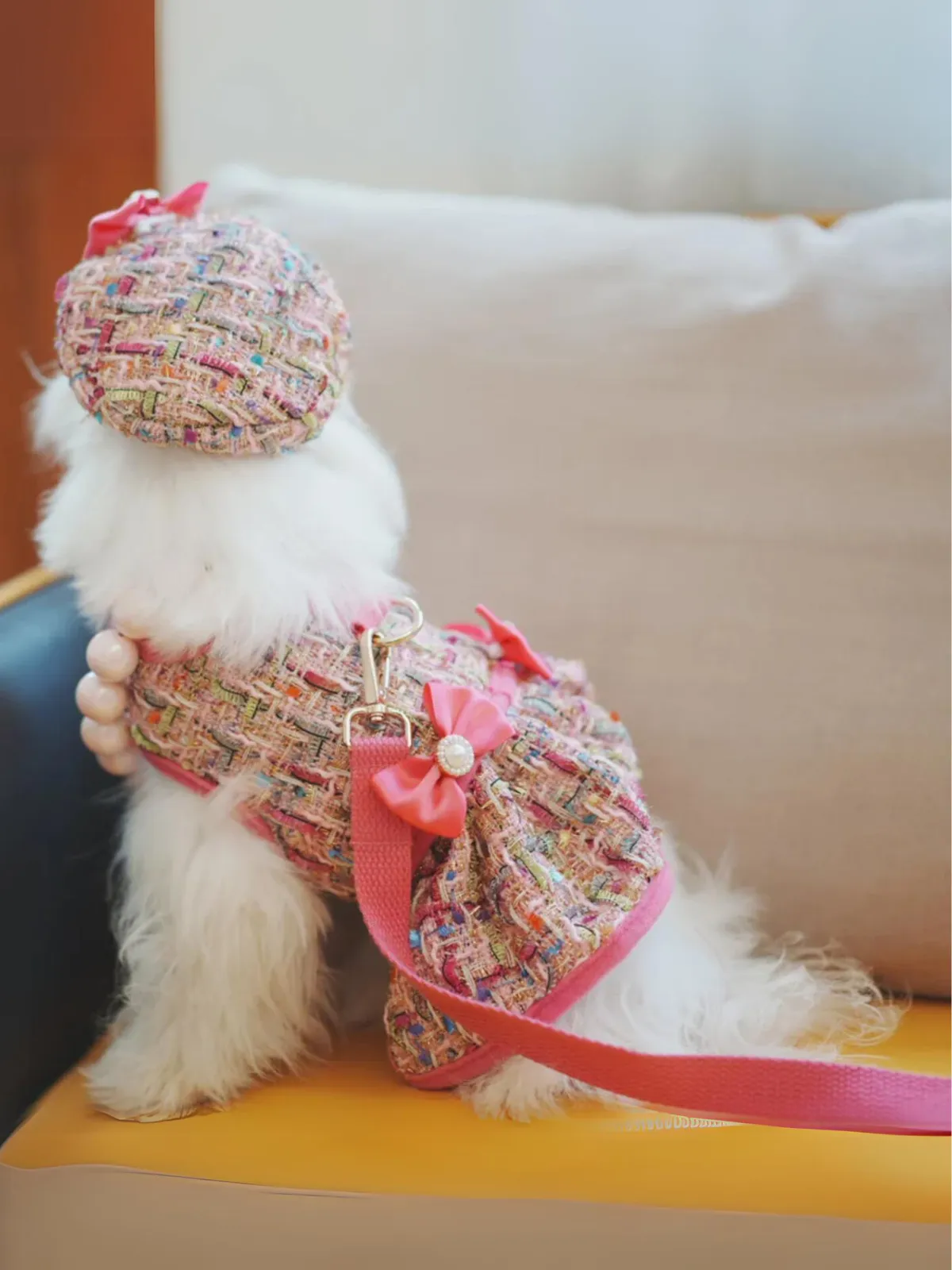 Vest-style Cute Bow Decoration Dog Harness and Leash Set