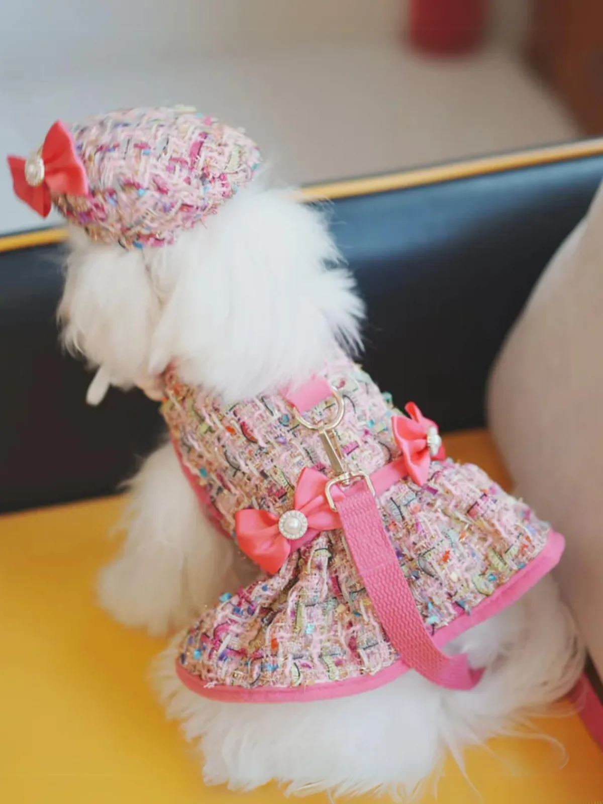 Vest-style Cute Bow Decoration Dog Harness and Leash Set