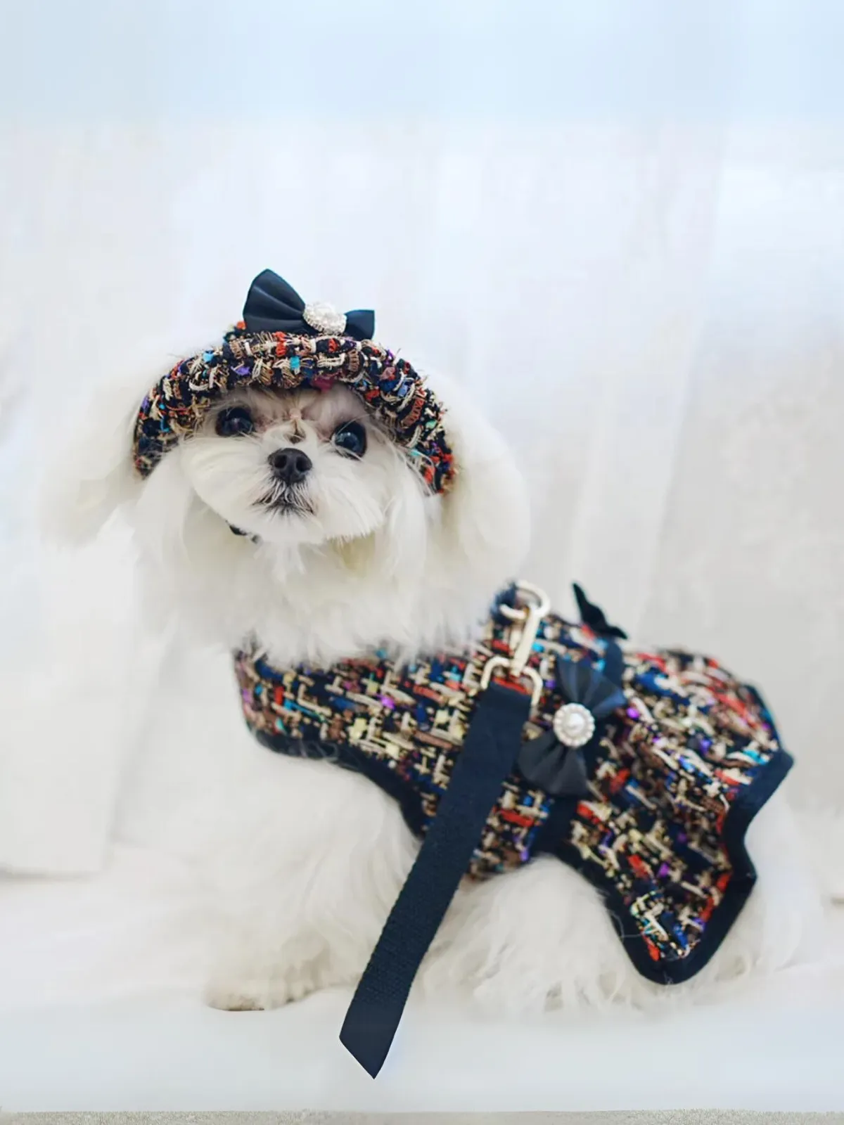 Vest-style Cute Bow Decoration Dog Harness and Leash Set